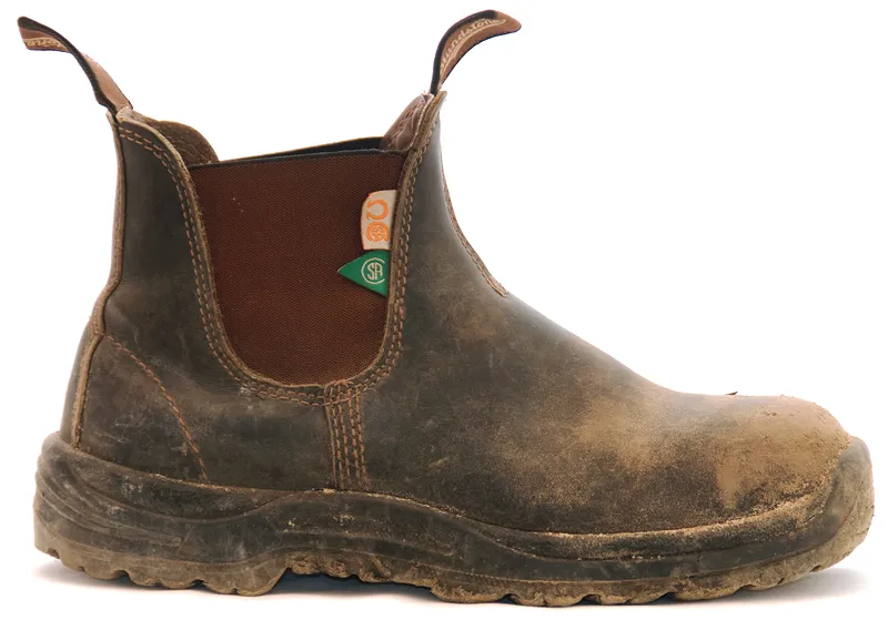 Blundstone #162 - CSA Work & Safety Boot (Stout Brown)