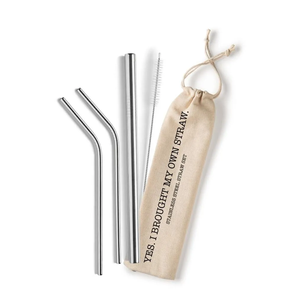 Reusable Stainless Steel Straws